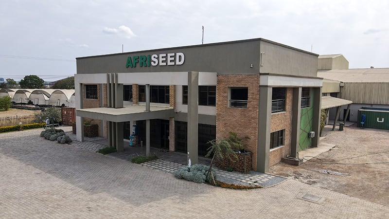 Afriseed office