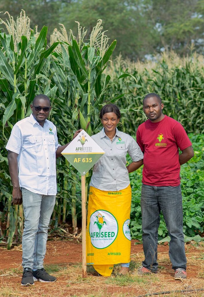 Maize farmers with Afriseed