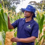 Promoting the Adoption of Climate Smart Agriculture